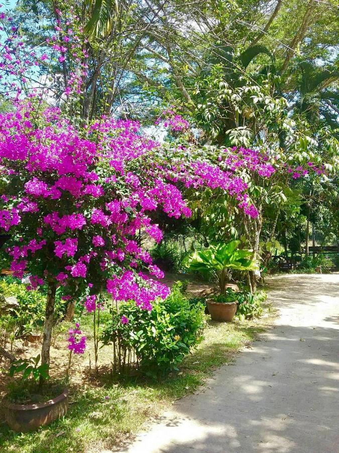 Ban Chieo Ko Baan Pak Rim Kuaen Resort المظهر الخارجي الصورة